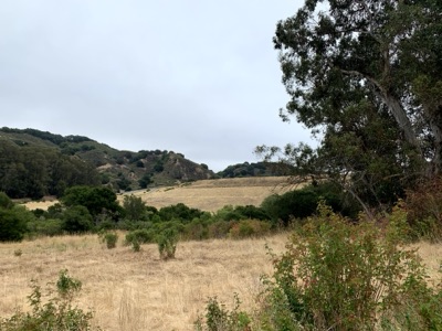 Segment 37 photo 3