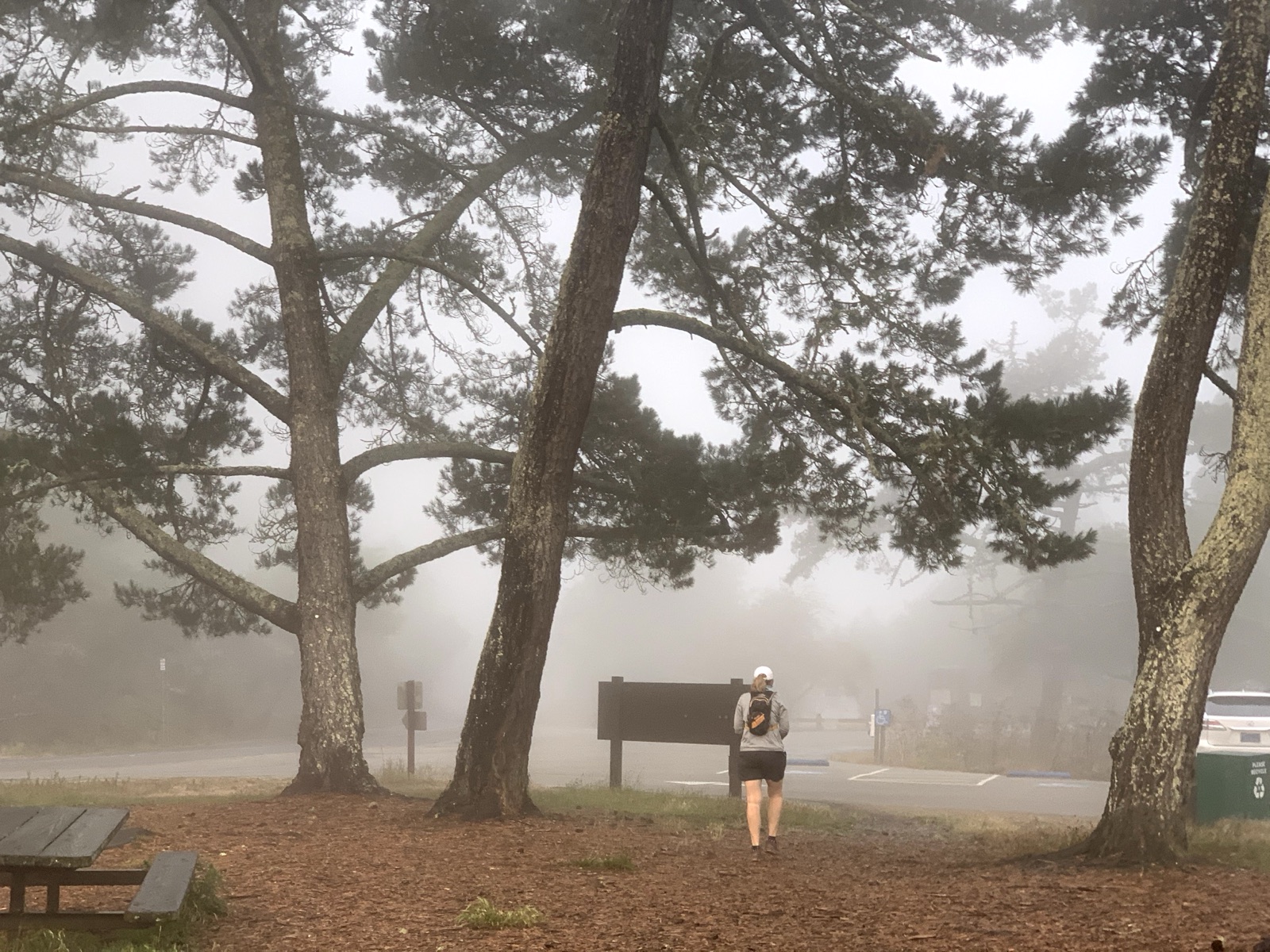 Segment 38, photo 1
