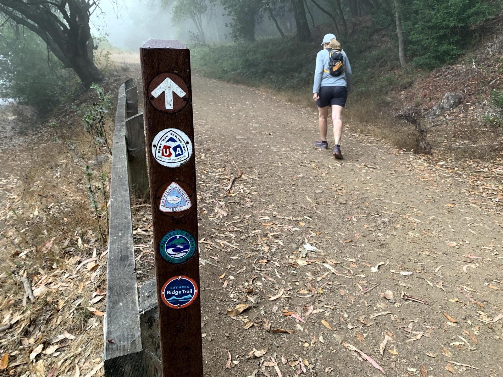 Segment 38, photo 5