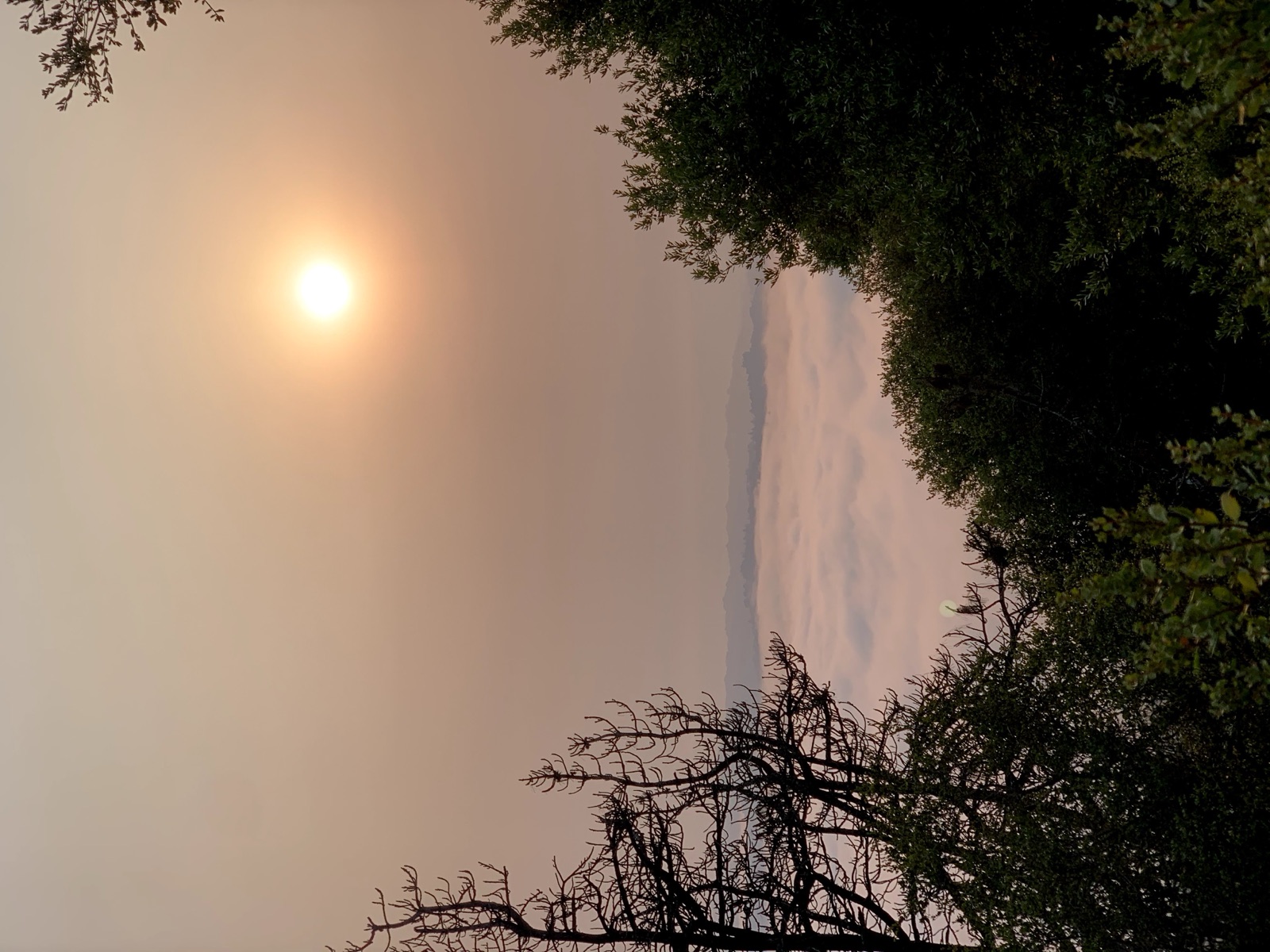 Segment 38, photo 8