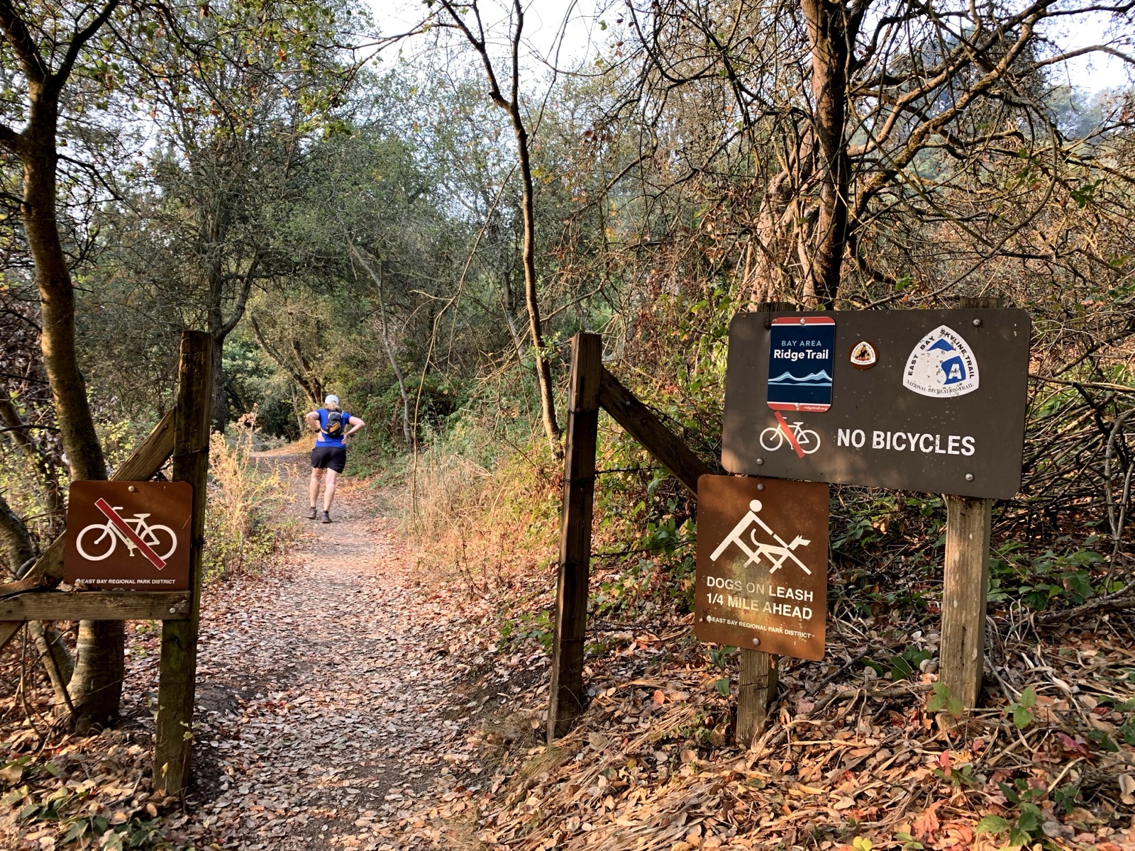 Segment 38, photo 13