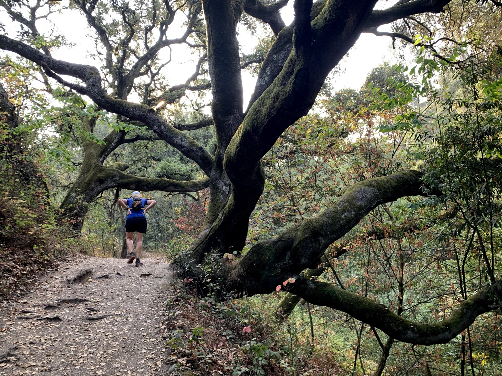 Segment 38, photo 20