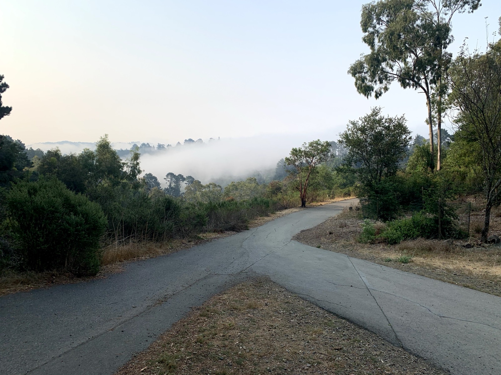 Segment 38, photo 21