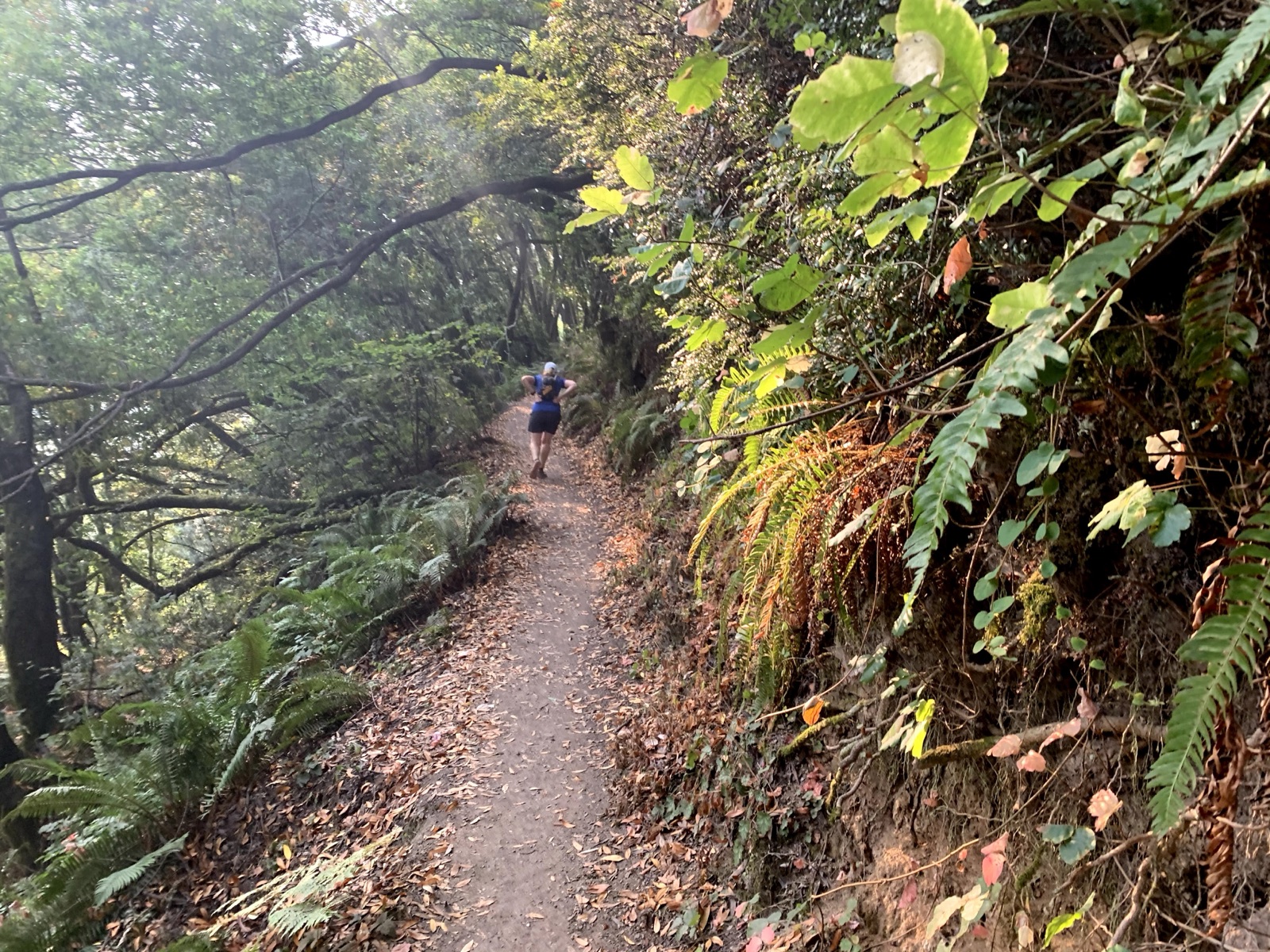 Segment 38, photo 24