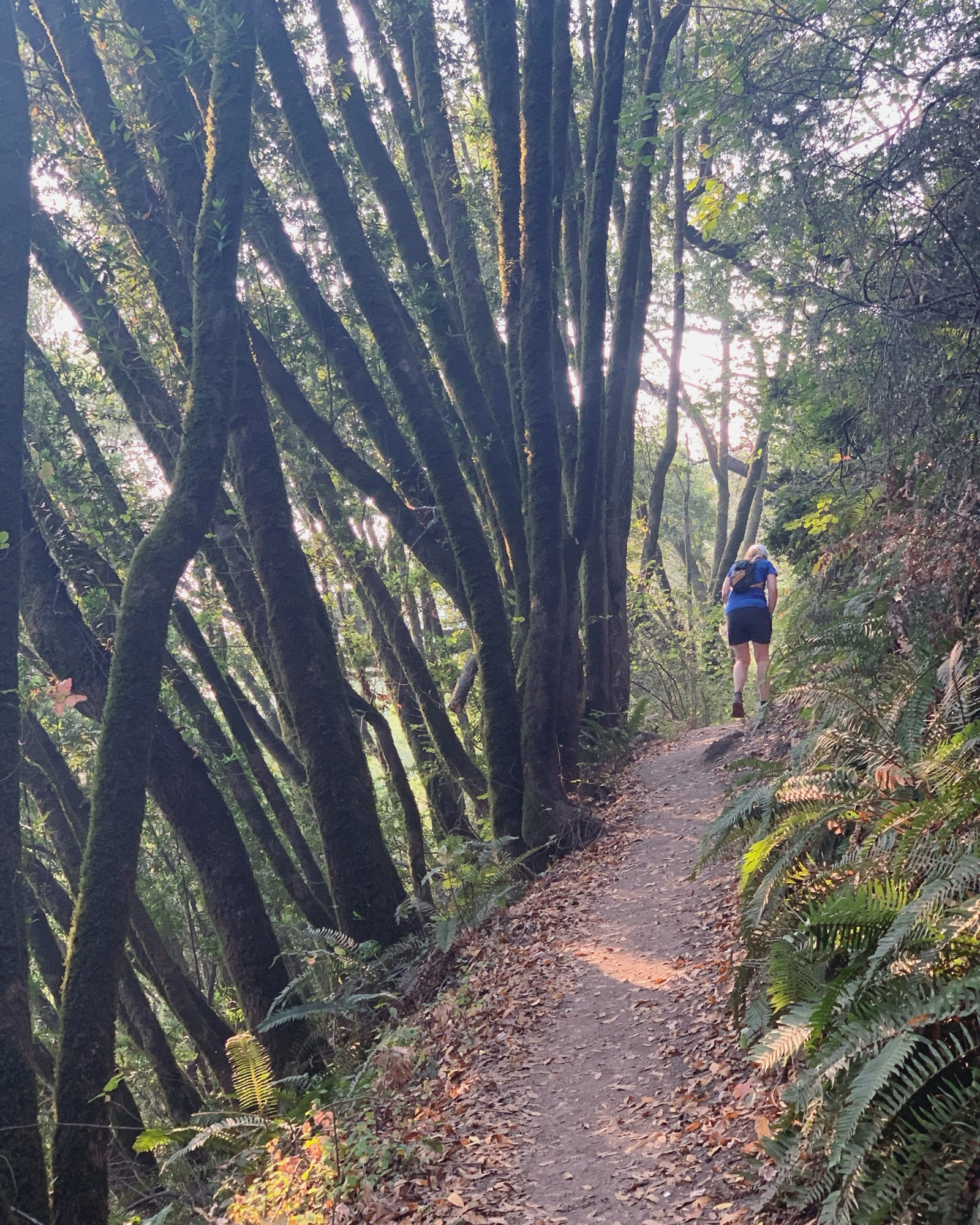 Segment 38, photo 25