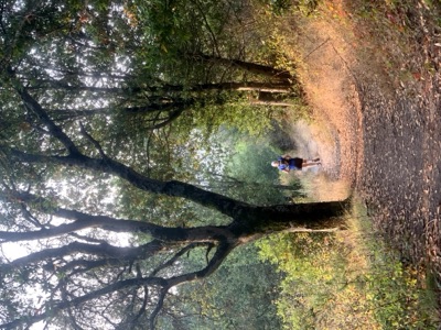 Segment 38 photo 15