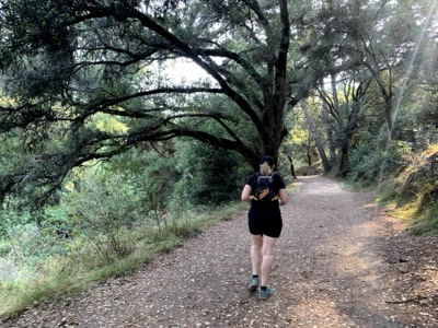 Segment 39 photo 1