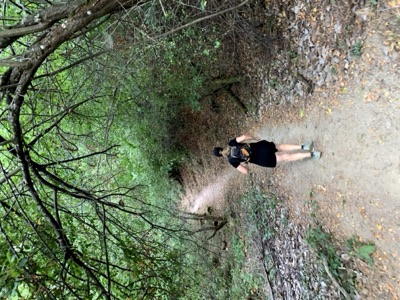 Segment 39 photo 3