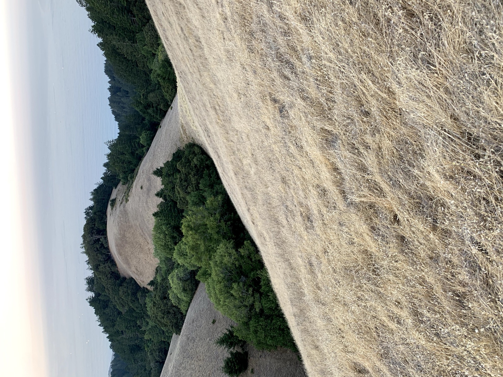 Segment 4, photo 6