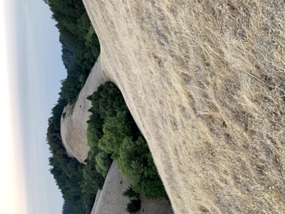Segment 4 photo 6