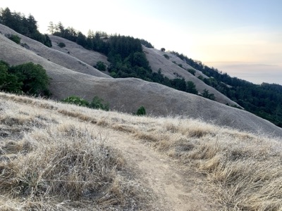 Segment 4 photo 7