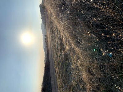 Segment 4 photo 9