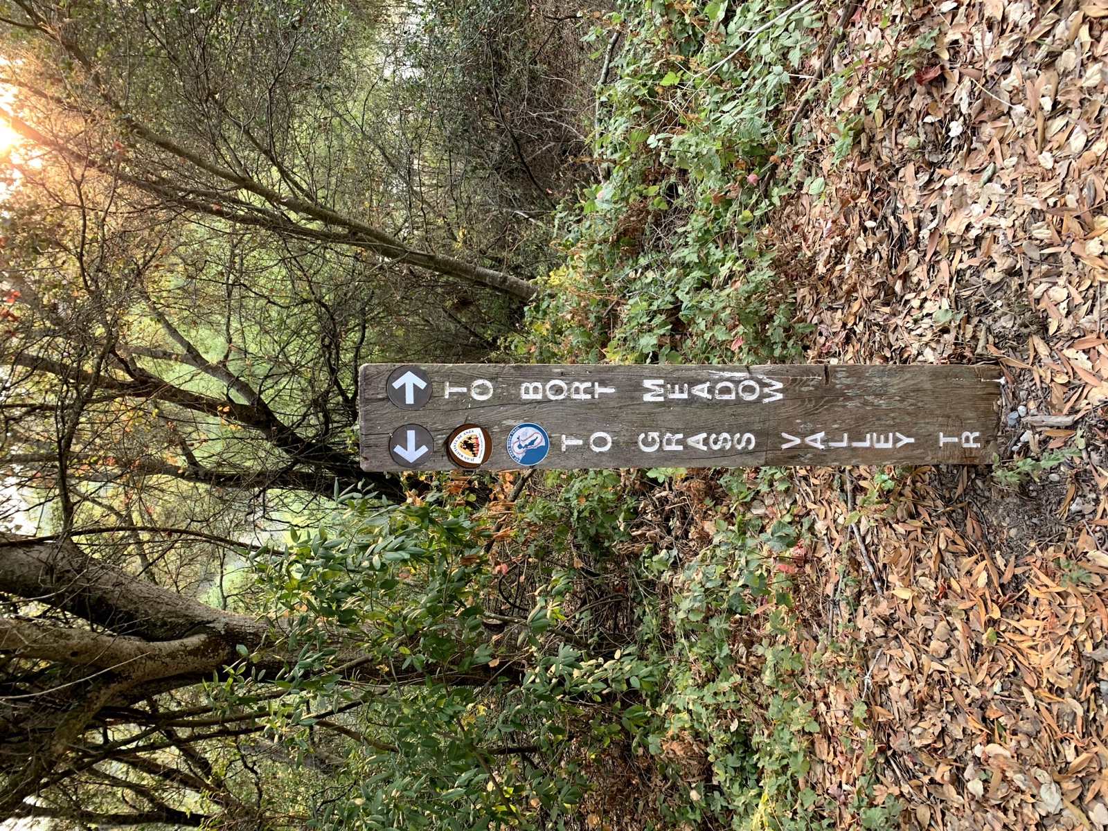 Segment 40, photo 1