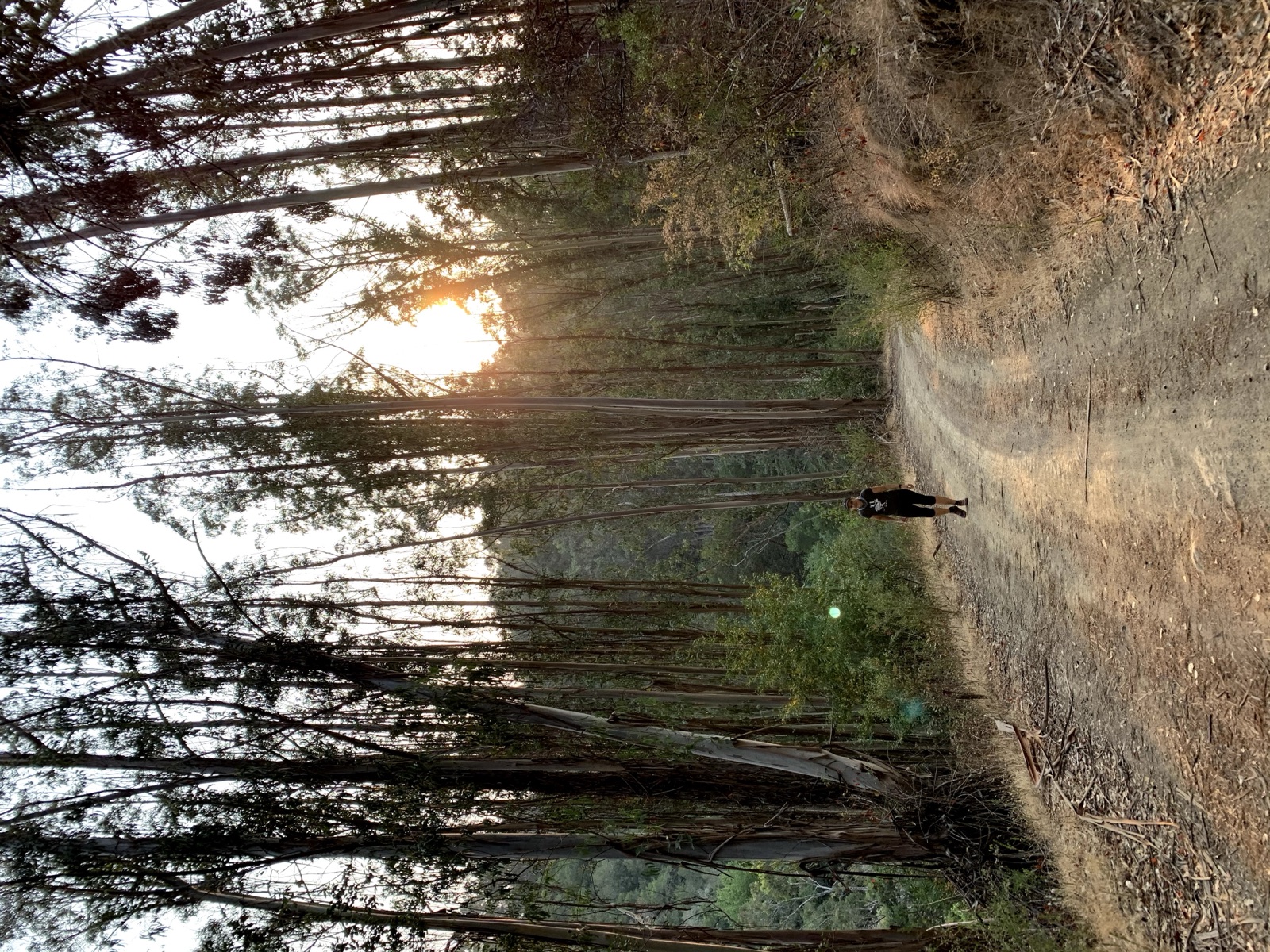 Segment 40, photo 2