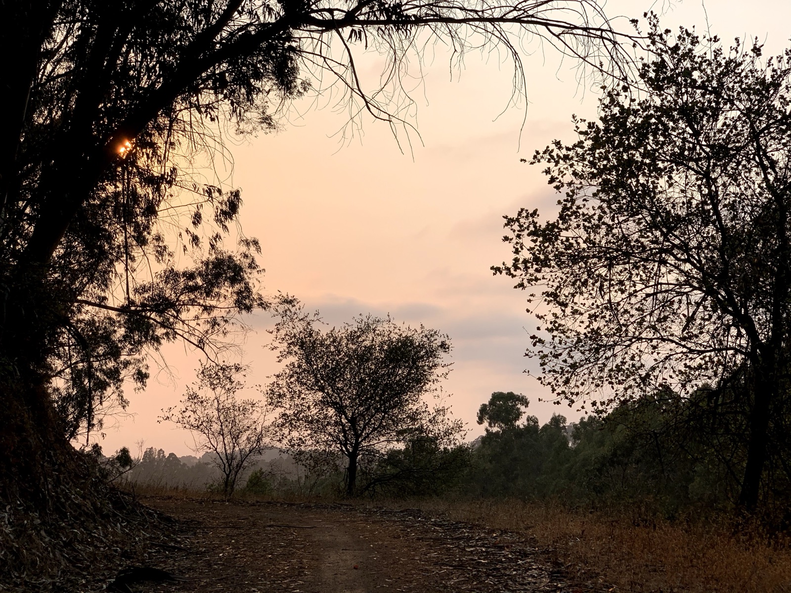 Segment 40, photo 3