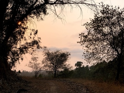 Segment 40 photo 3