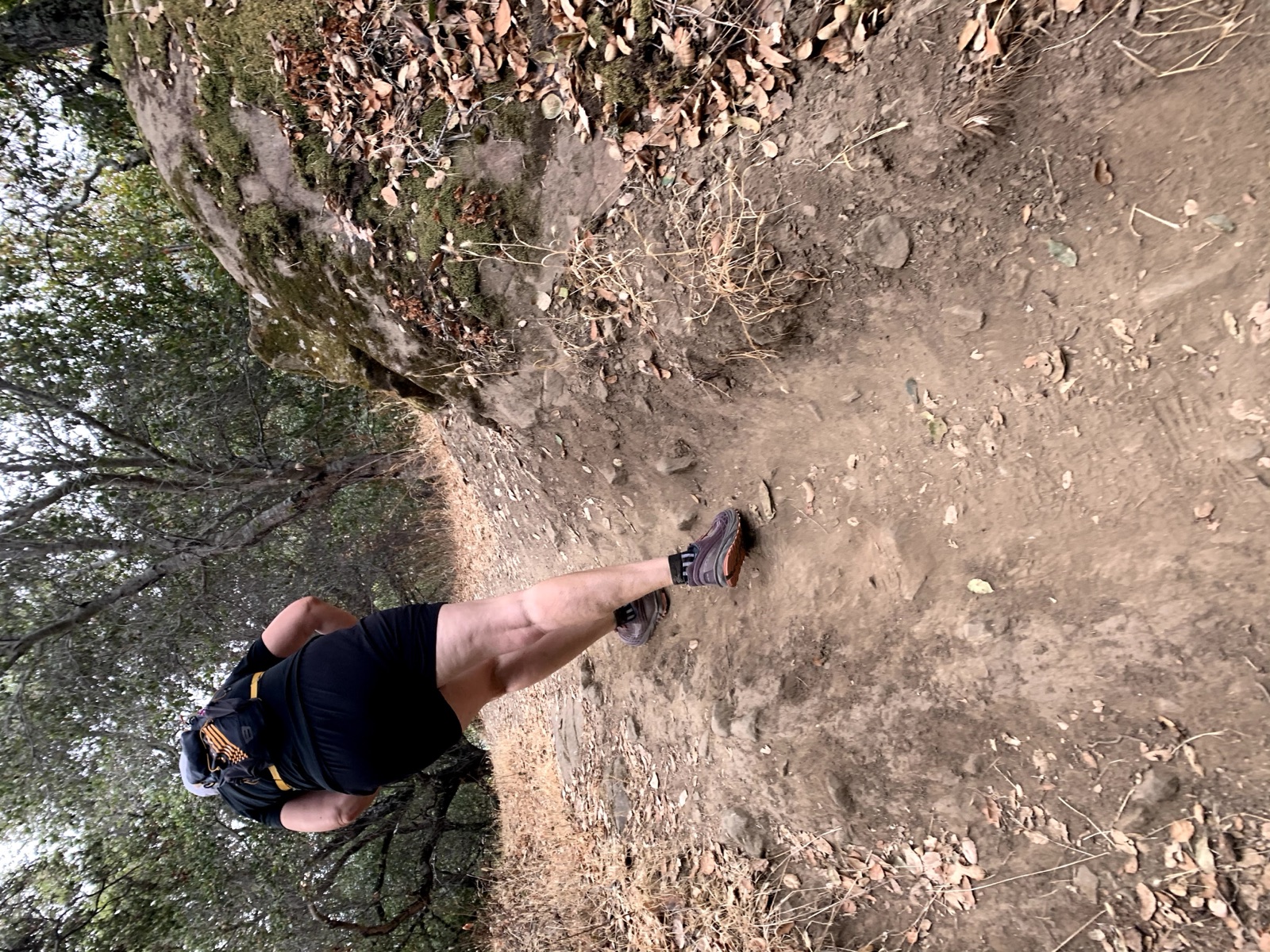 Segment 41, photo 4