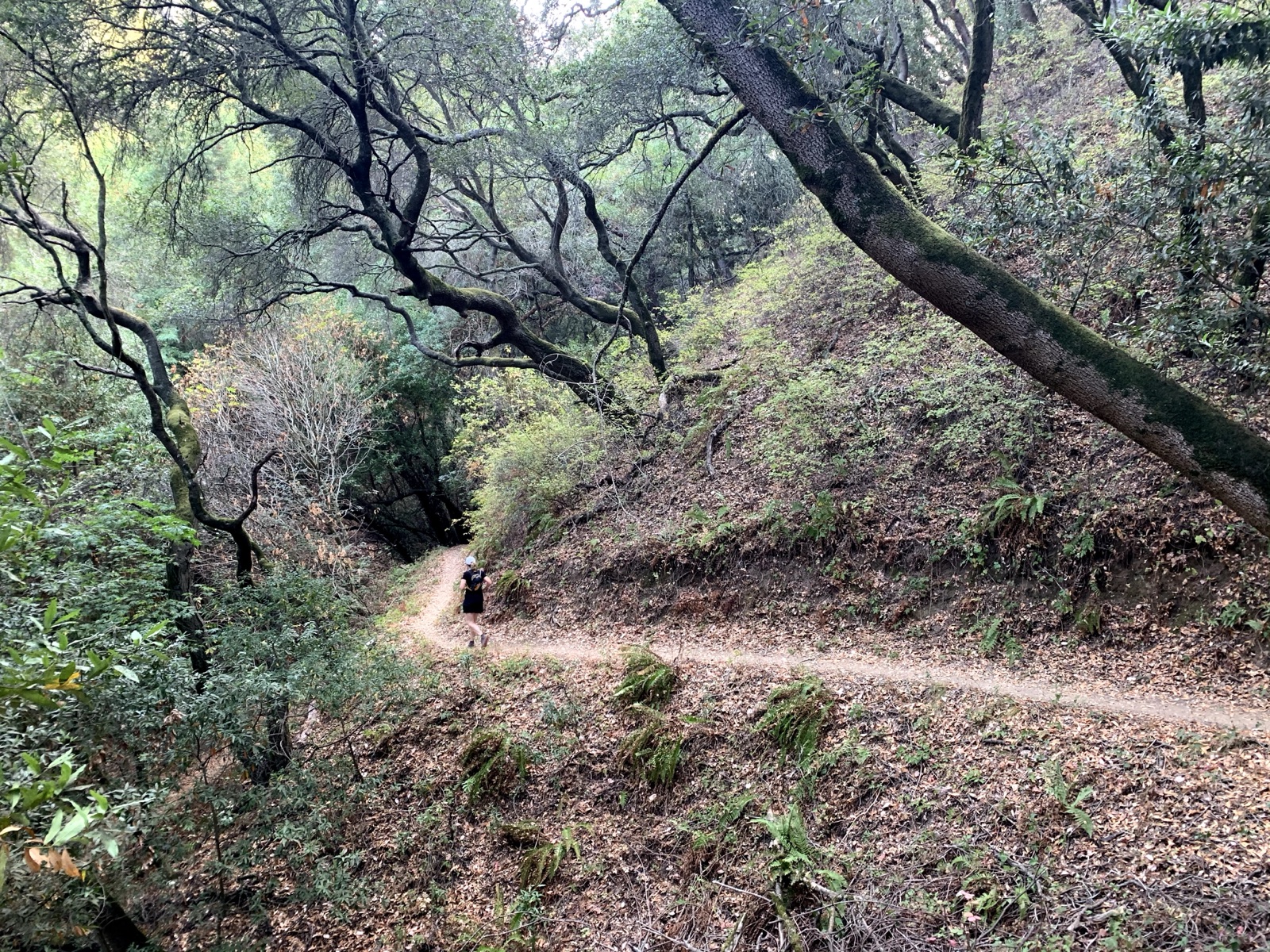 Segment 41, photo 7