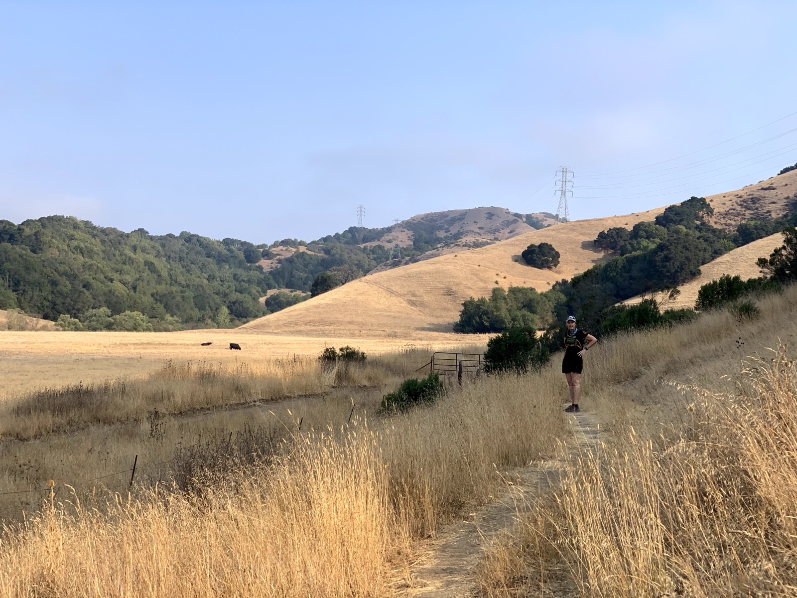 Segment 41, photo 8