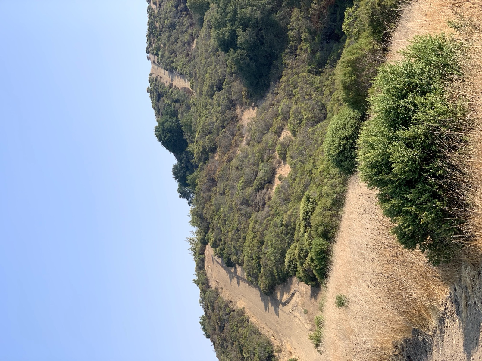 Segment 41, photo 12
