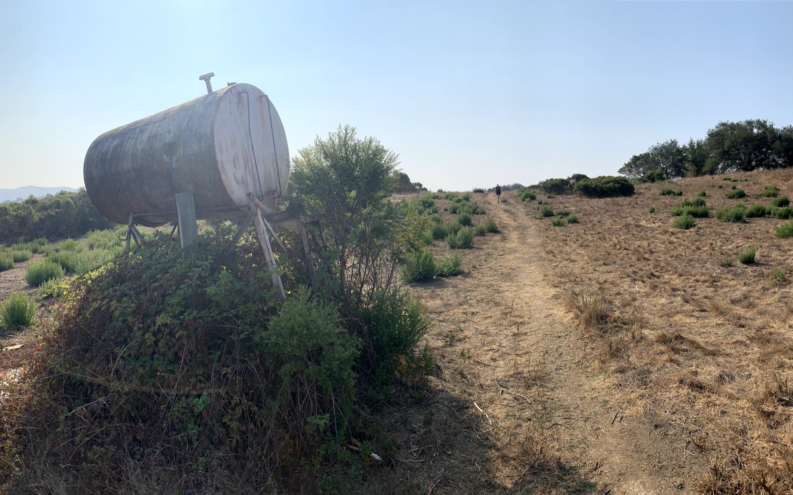 Segment 41, photo 16