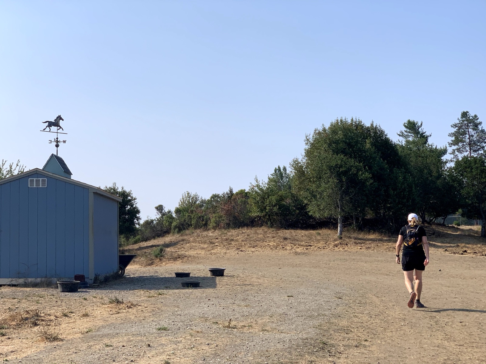 Segment 41, photo 17