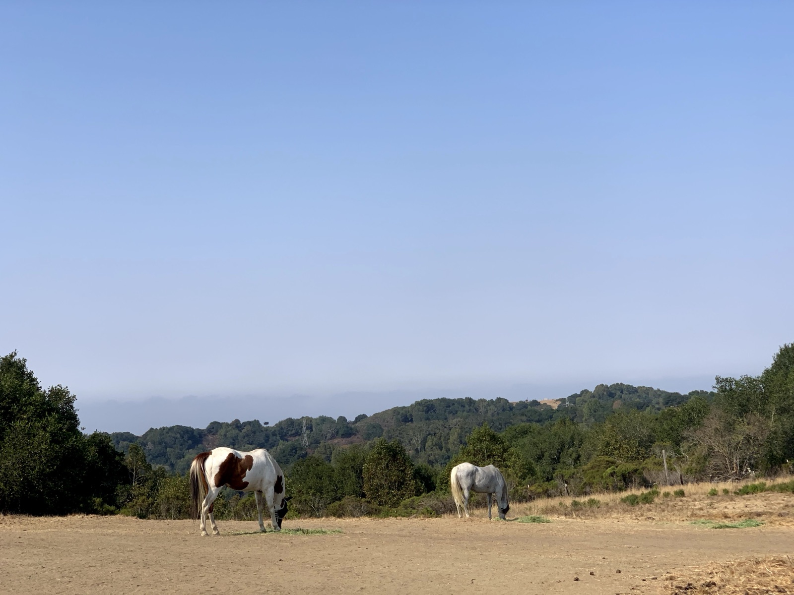 Segment 41, photo 18