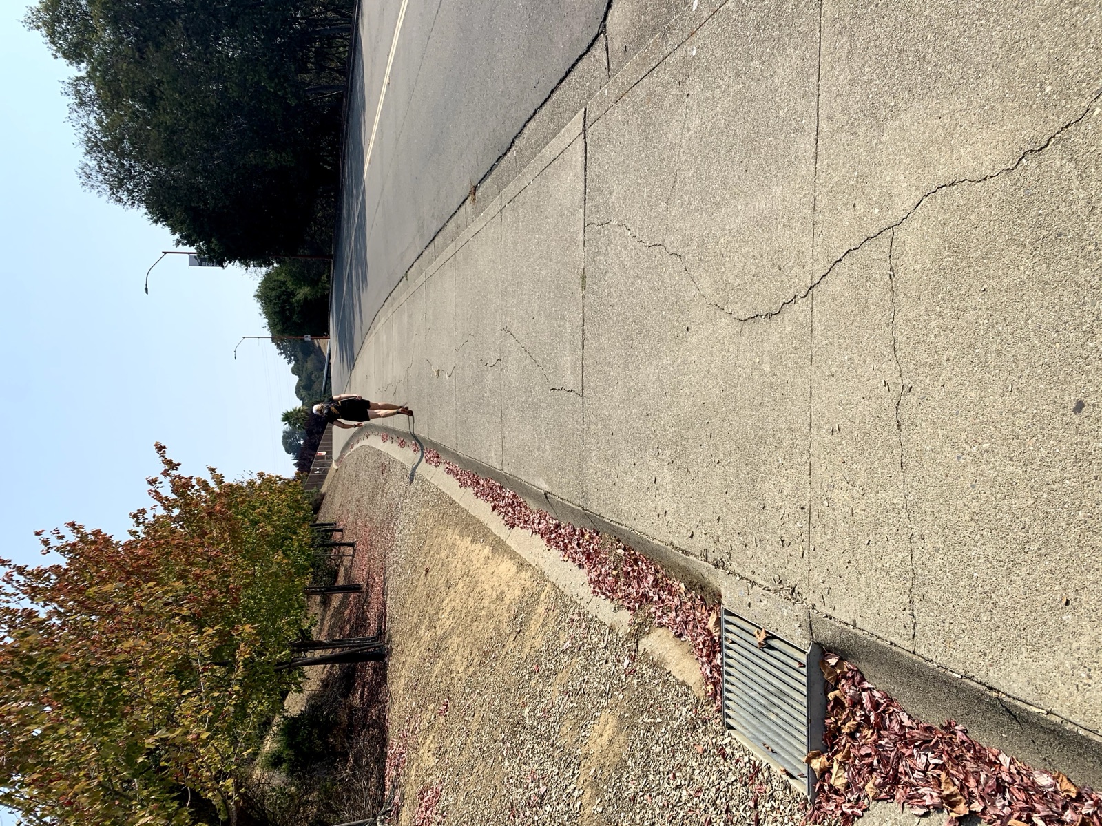 Segment 41, photo 28