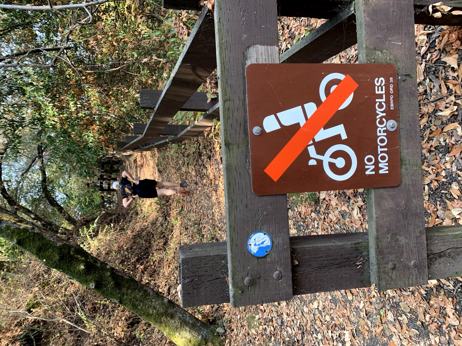 Segment 41, photo 30