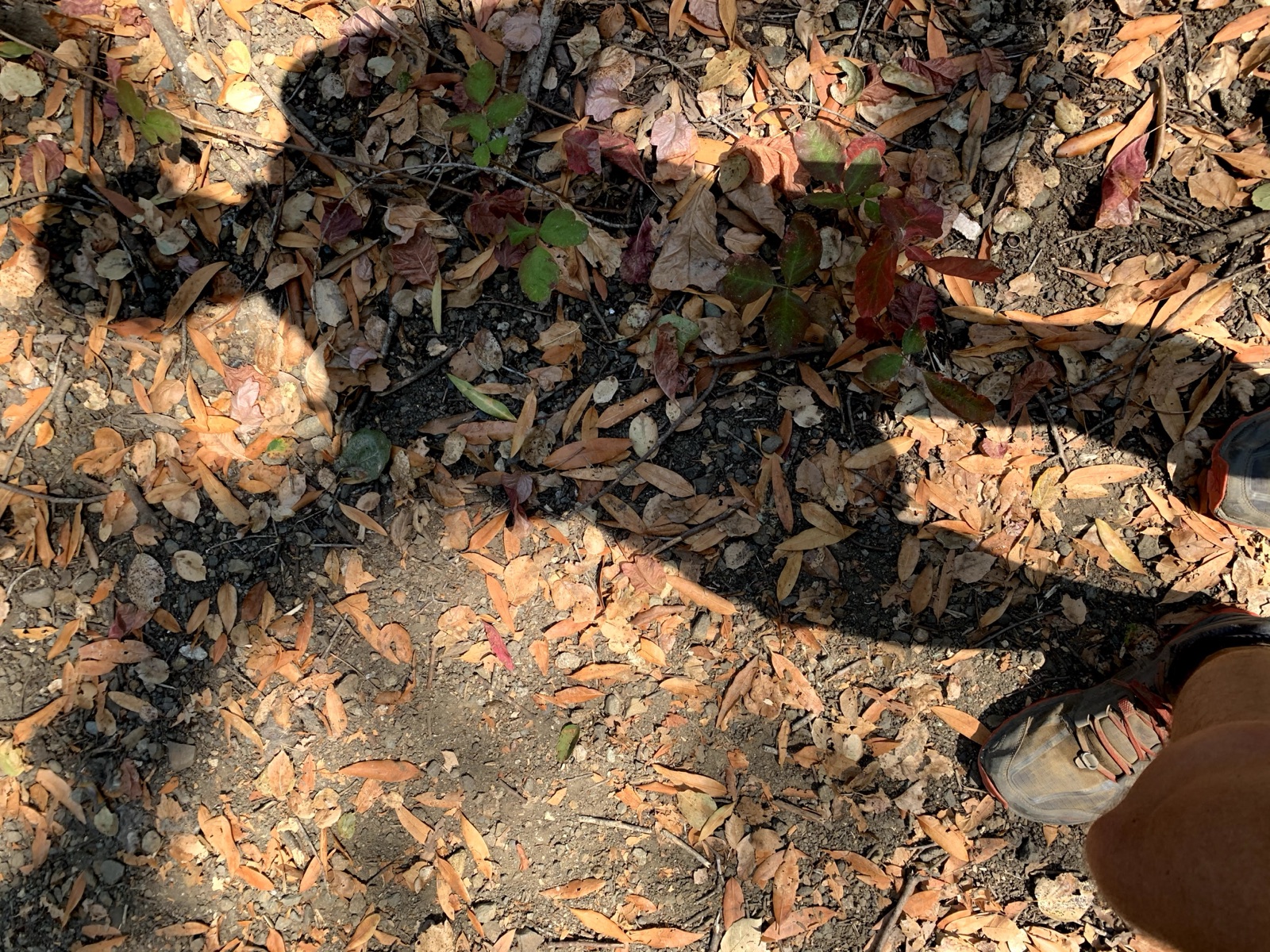 Segment 41, photo 31