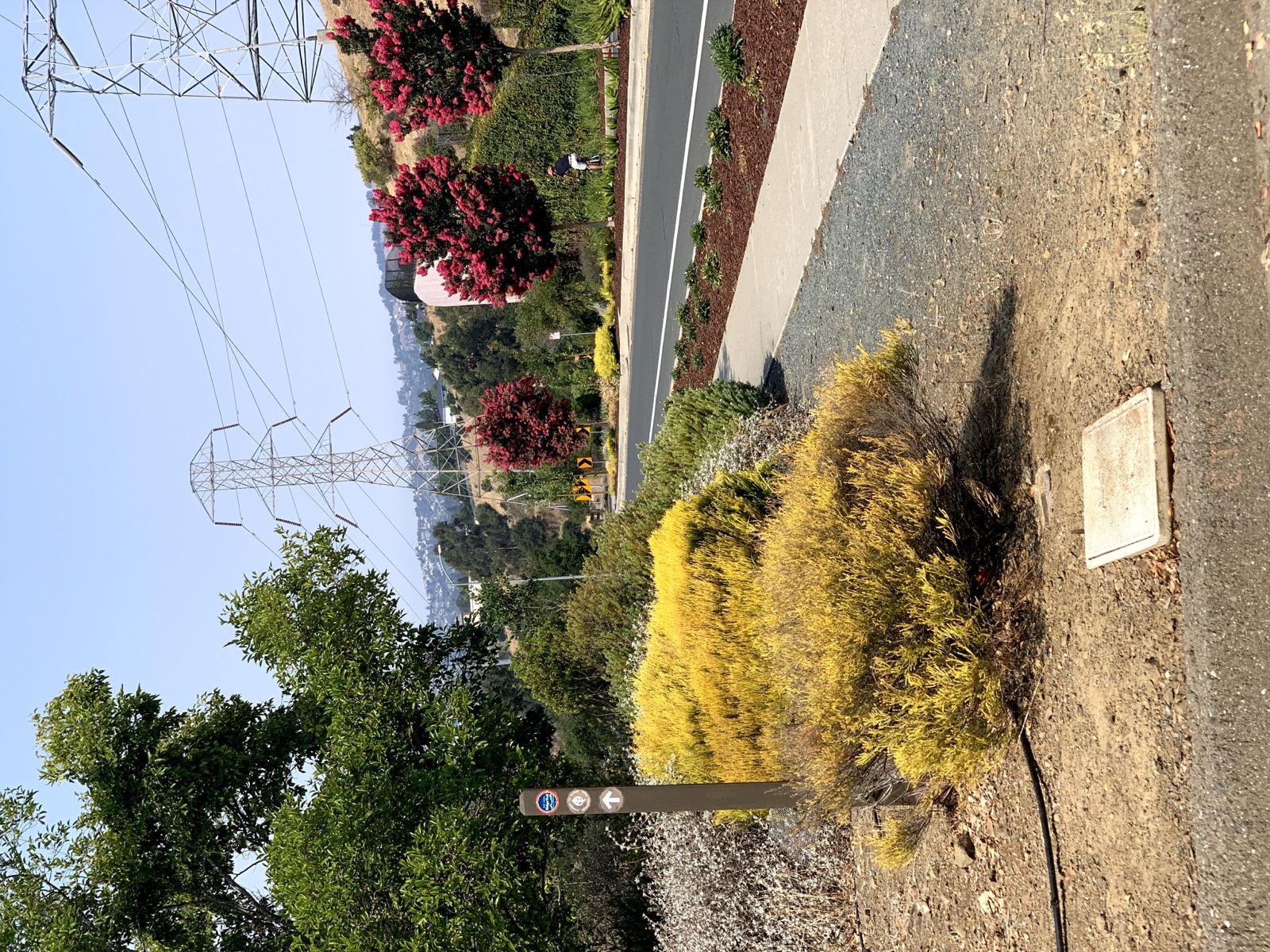 Segment 41, photo 38