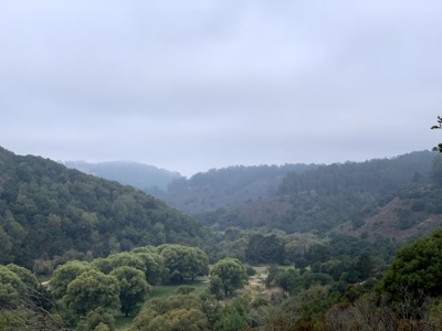 Segment 41 photo 2