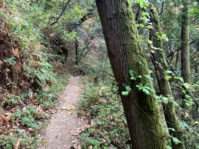Segment 41 photo 3
