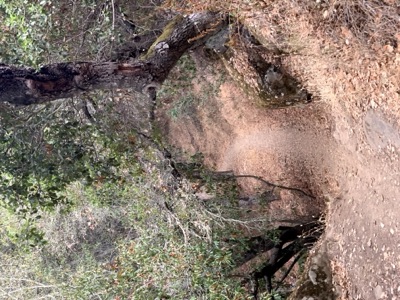Segment 41 photo 5
