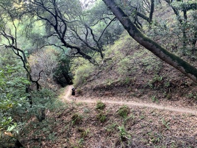 Segment 41 photo 7