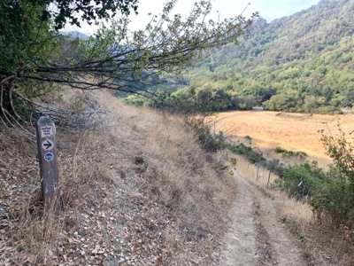 Segment 41 photo 9