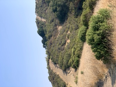 Segment 41 photo 12