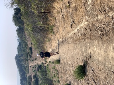 Segment 41 photo 14