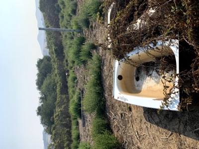 Segment 41 photo 15