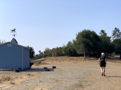 Segment 41 photo 17