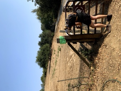 Segment 41 photo 20
