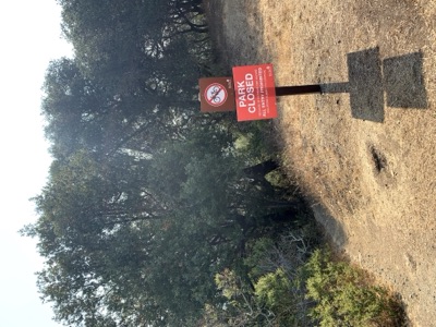 Segment 41 photo 21
