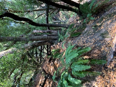 Segment 41 photo 22