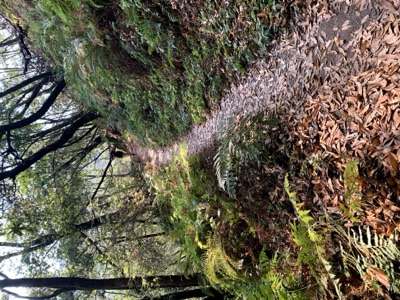 Segment 41 photo 23