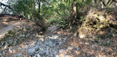 Segment 41 photo 24