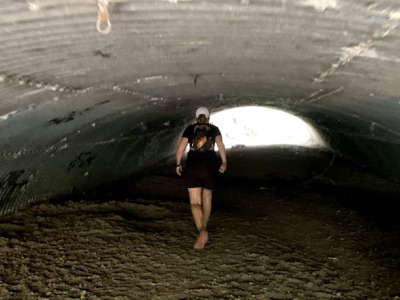 Segment 41 photo 25