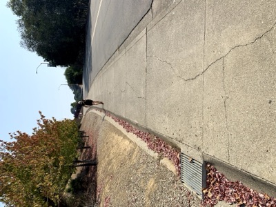 Segment 41 photo 28