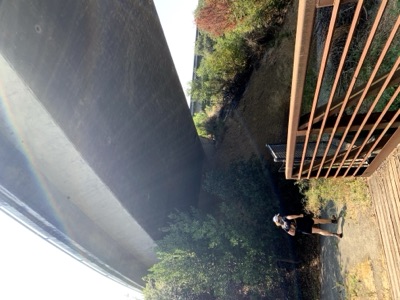 Segment 41 photo 34