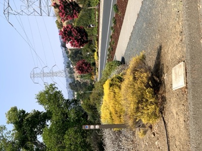 Segment 41 photo 38