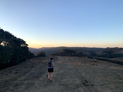 Segment 42 photo 6
